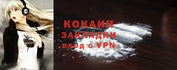 спайс Няндома