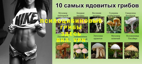 винт Нязепетровск