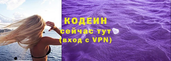 спайс Няндома