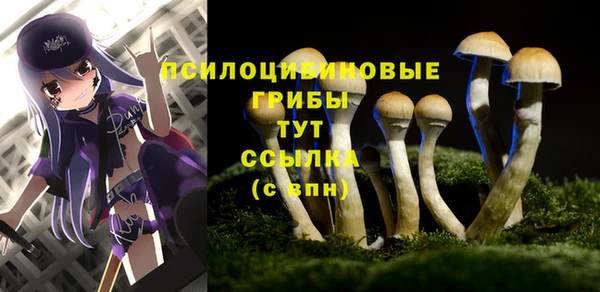 наркотики Осташков