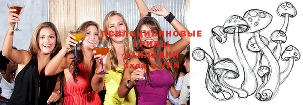спайс Няндома