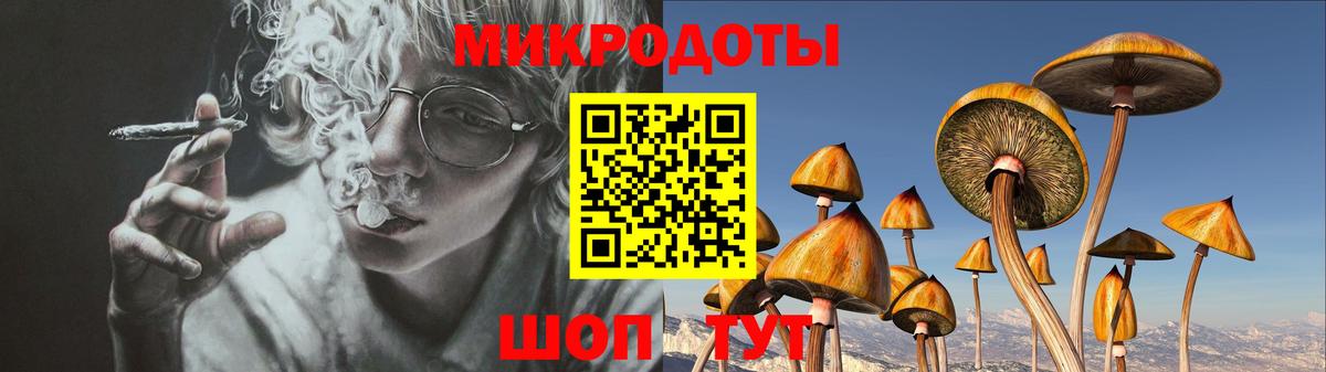 Псилоцибиновые грибы мухоморы  купить наркотик  Сорочинск 